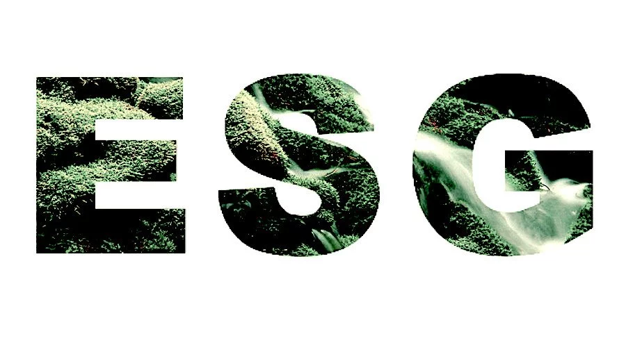 Survey: Her er finanssektorens største ESG-udfordringer