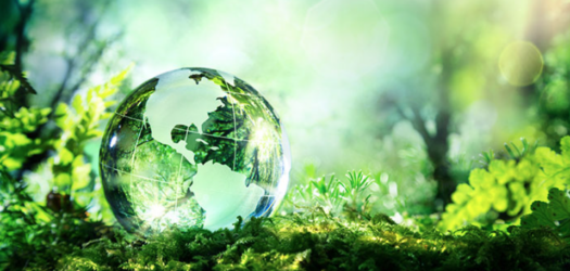 ØU Klima Rating 2024: Ekstra point for scope 3 og topchefbonus