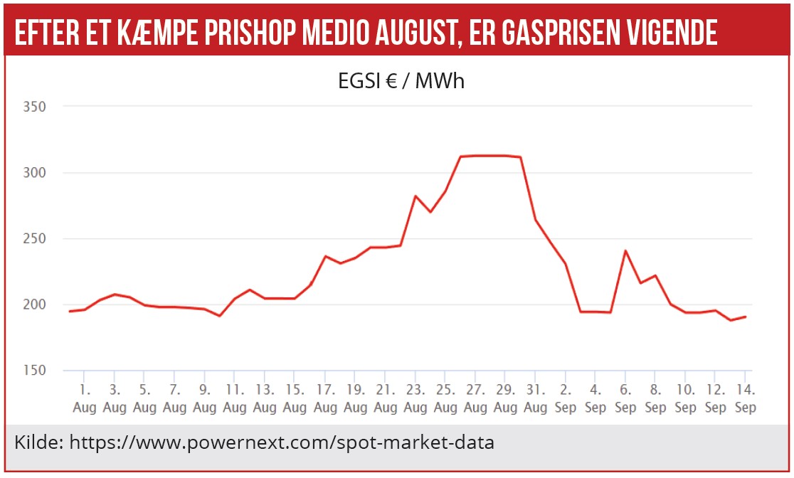 Efter et kæmpe prishop medio august er gasprisen vigende