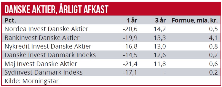 Kapitalforvaltere 2022 - Danske aktier