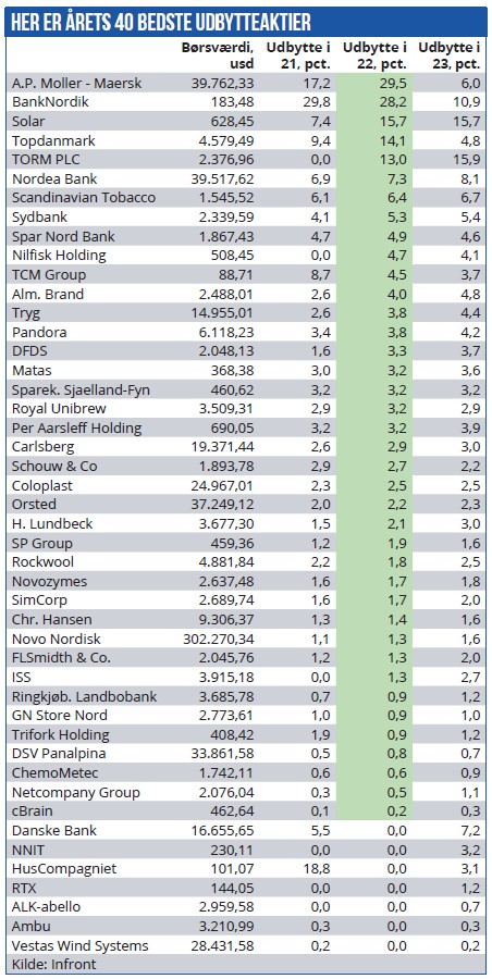 Årets 40 bedste udbytteaktier