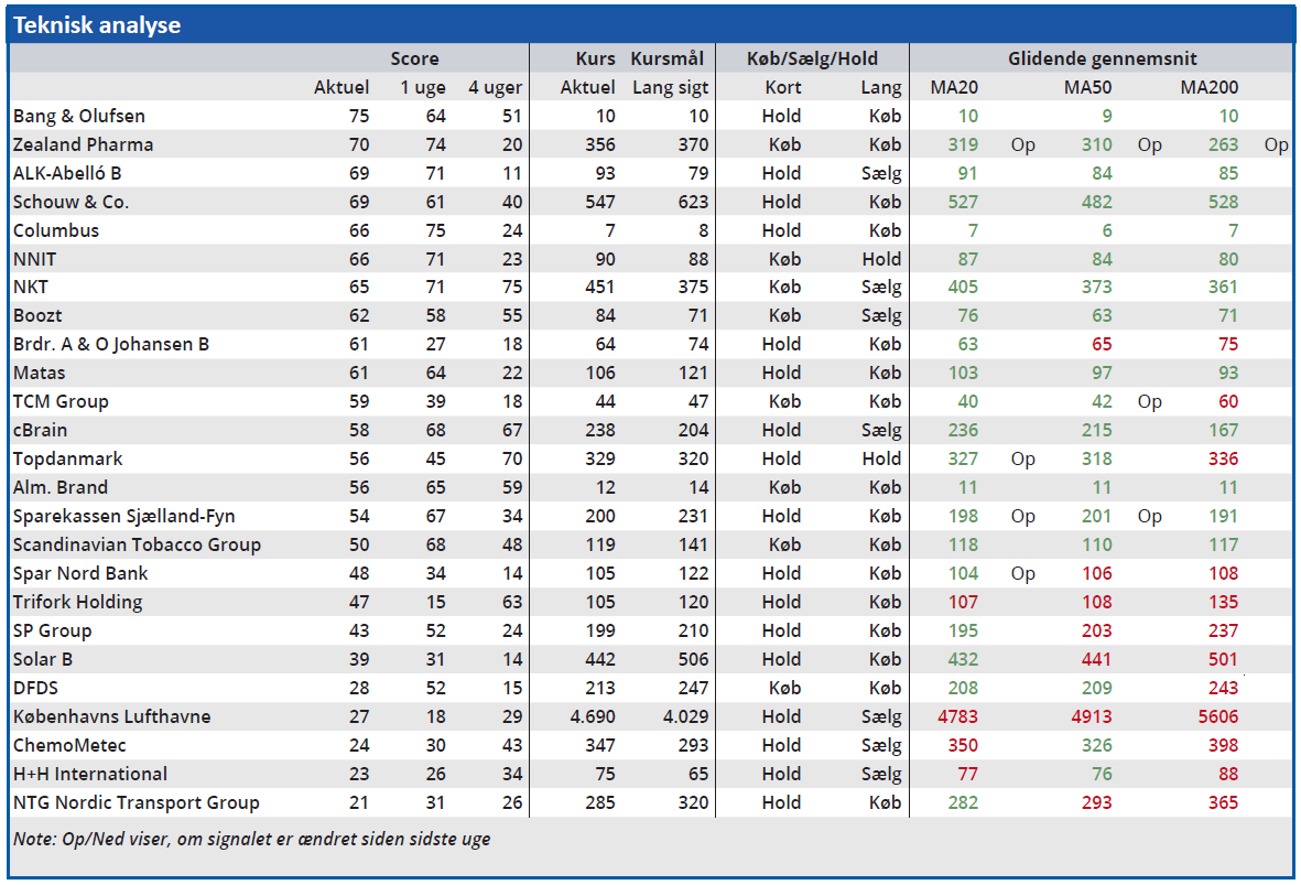 Large Cap - teknisk analyse