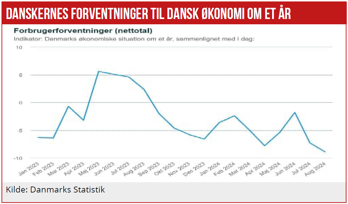 Økonomisk redegørelse