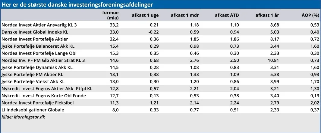 Her er de største investeringsforeningsafdelinger