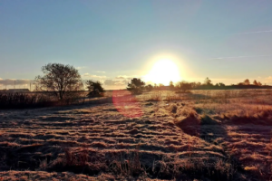 Kilde: Pixabay - 14184437 (https://pixabay.com/da/photos/efter%C3%A5r-solopgang-mark-danmark-4605682/)