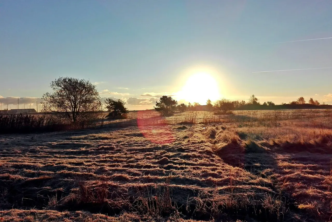 Kilde: Pixabay - 14184437 (https://pixabay.com/da/photos/efter%C3%A5r-solopgang-mark-danmark-4605682/)