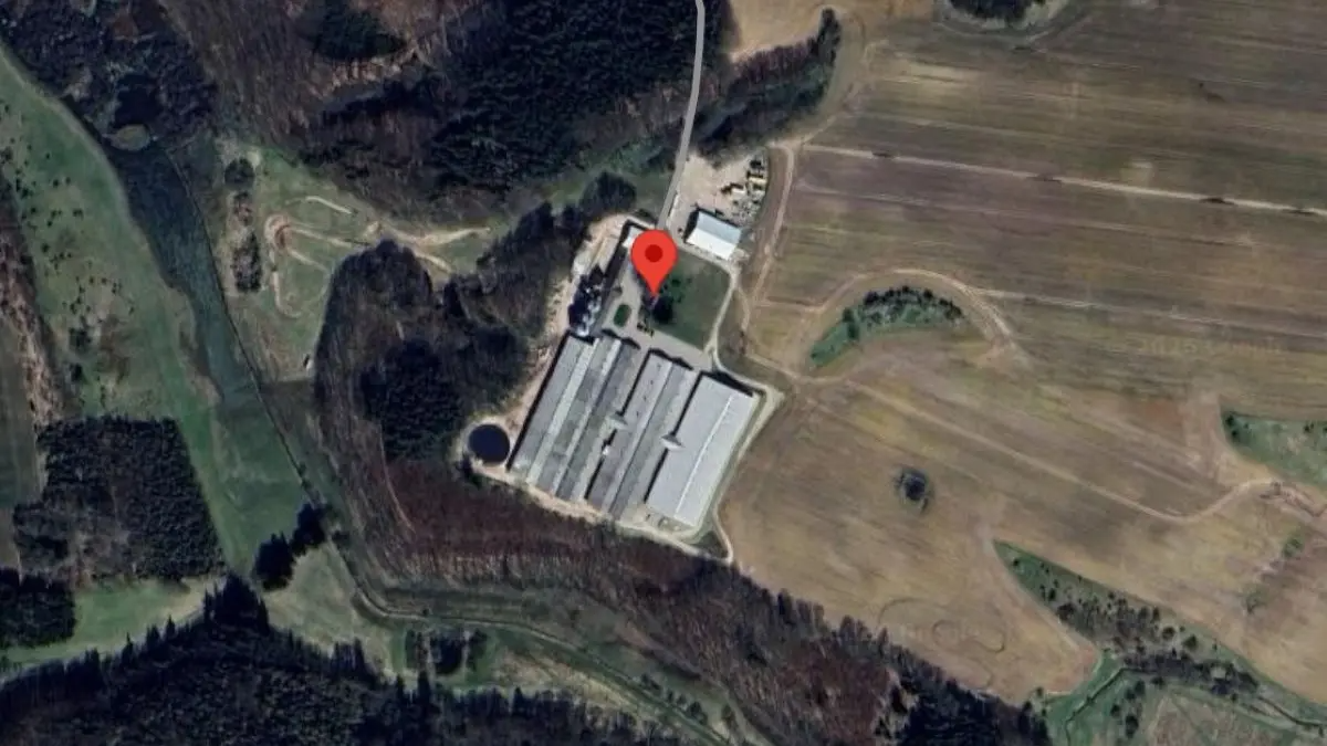 Svineimperiet Skovslund ligger i det Midtjyske. Foto: Google Streetview/ Screendump