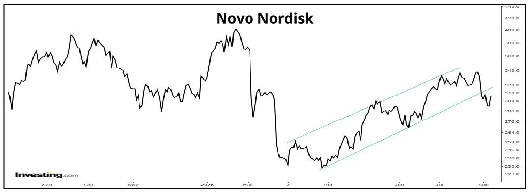 Novo 01