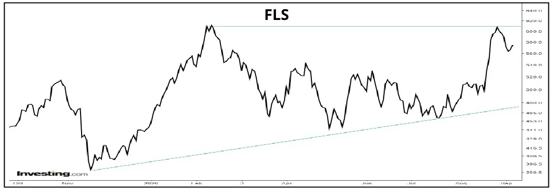 FLS 01
